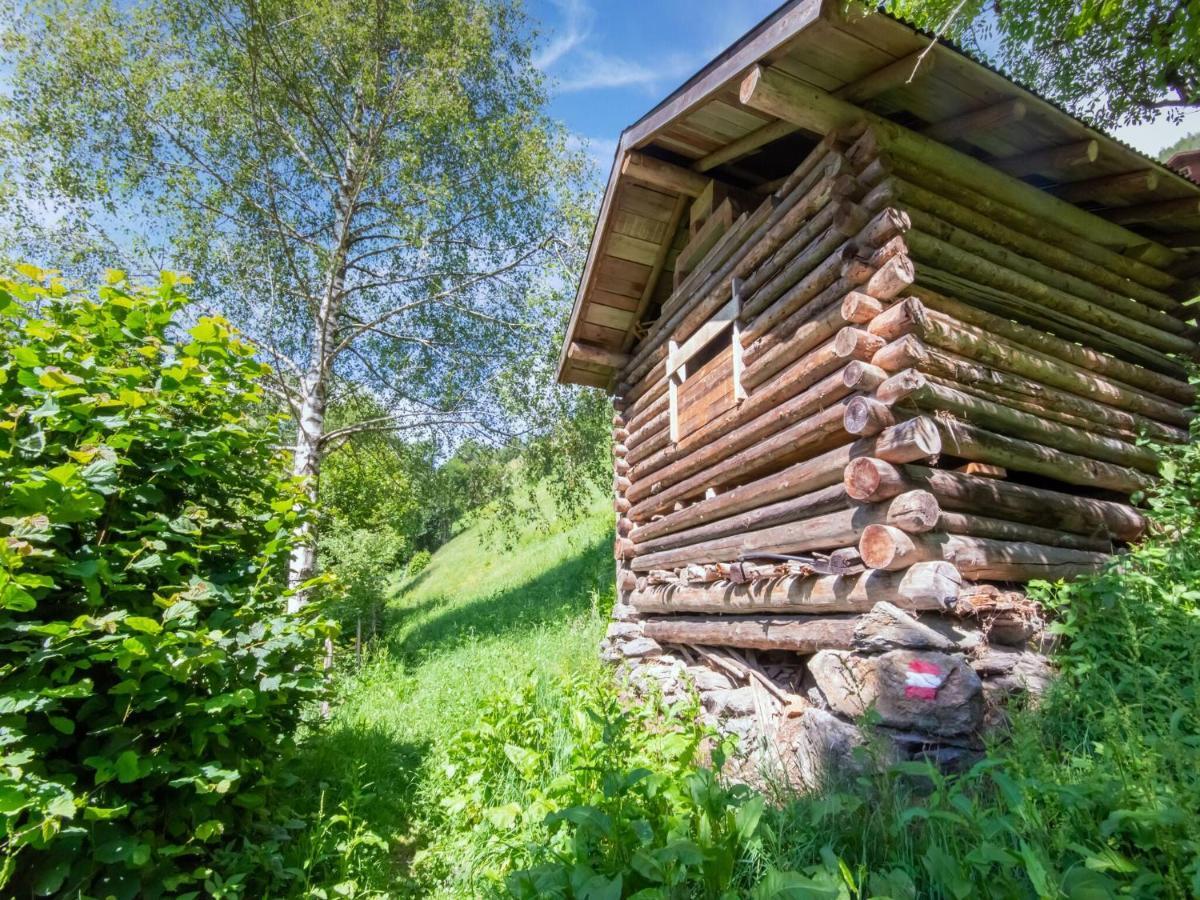Cosy Holiday Home At The Wildkogel Bramberg am Wildkogel Zewnętrze zdjęcie